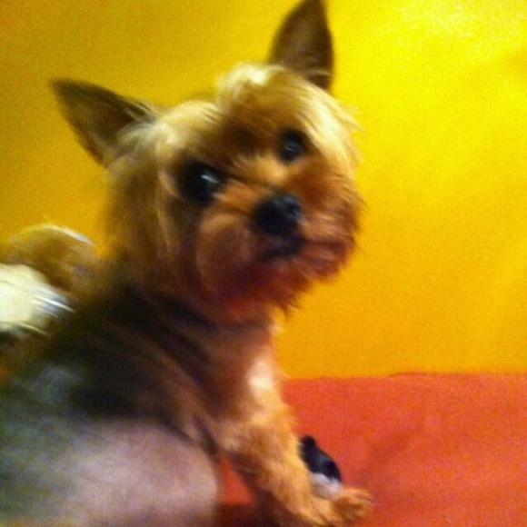 barnnysmendoza